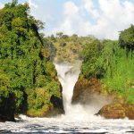 3 Days Murchison Falls Safari