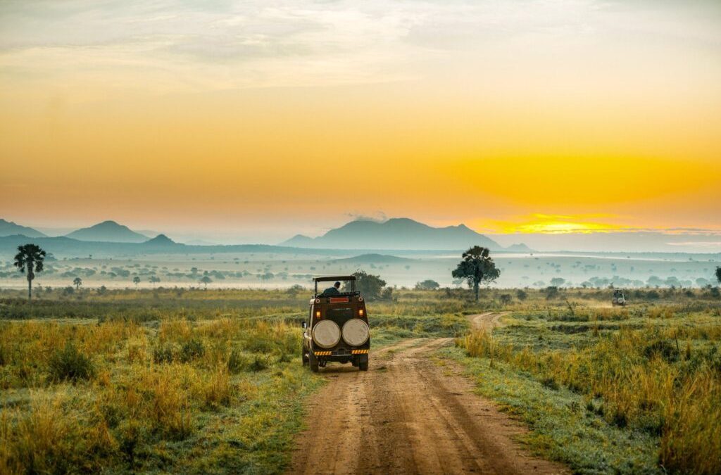 8 Days Uganda Wildlife Safari