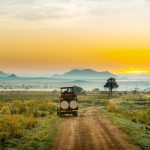 8 Days Uganda Wildlife Safari