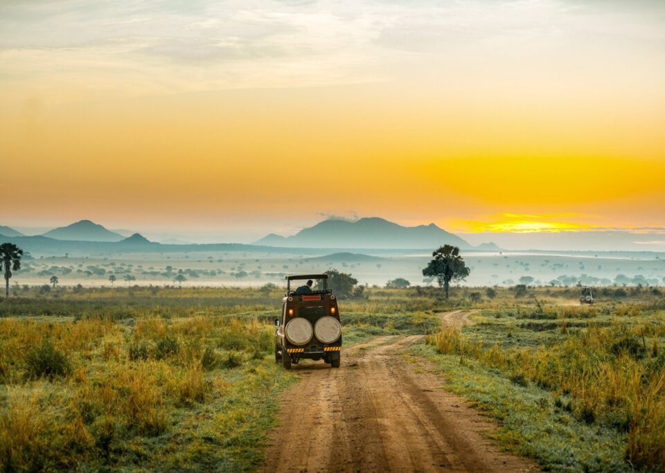 8 Days Uganda Wildlife Safari