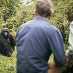 10 Days Uganda Safari Experience