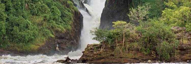 8-day Uganda safari