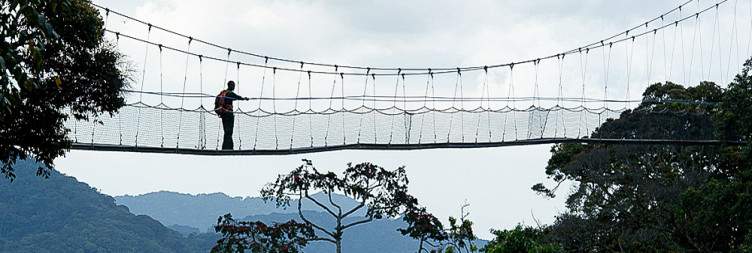 8 Days Rwanda Tour