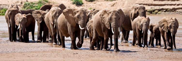 6-Day Unforgettable Wildlife Experiences