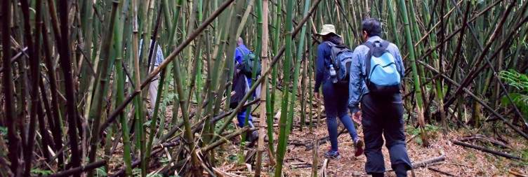 8 Days Rwanda Tour